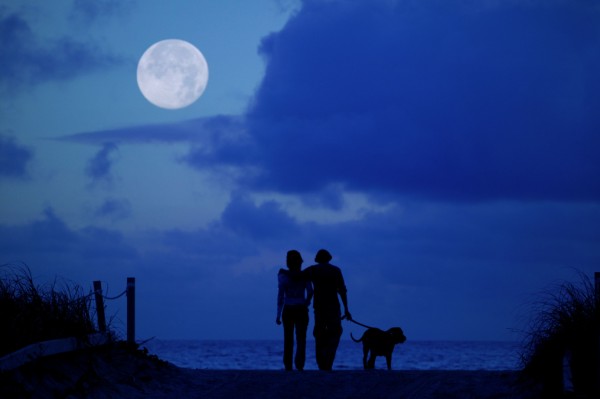 Couple on beach walk with pet dog