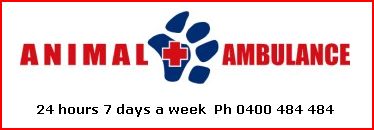 Animal Ambulance Logo & Hours